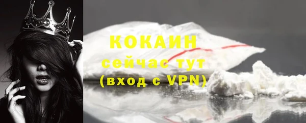 твердый Богородск