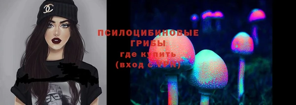 МДПВ Богородицк