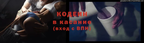 твердый Богданович