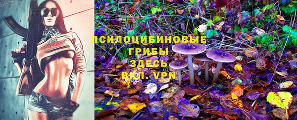 твердый Богородск