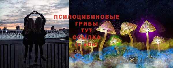 твердый Богданович
