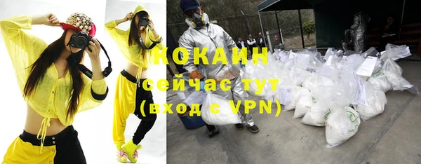 МДПВ Богородицк