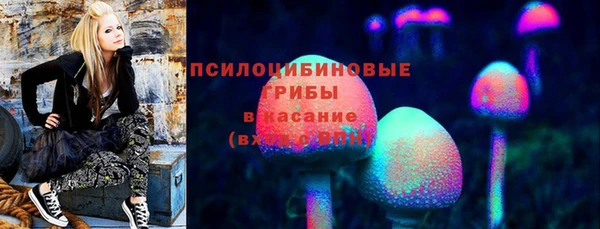МДПВ Богородицк