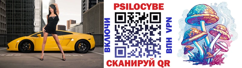 Псилоцибиновые грибы мицелий где продают darknet наркотические препараты Верхотурье